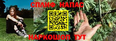 spice Бийск