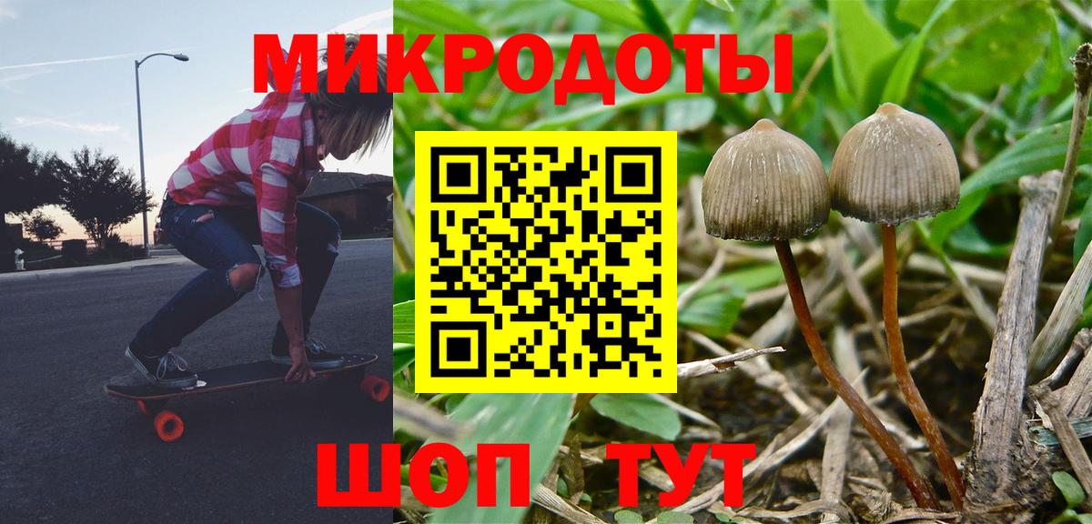 Галлюциногенные грибы GOLDEN TEACHER  Вход с VPN  Псилоцибиновые грибы Psilocybine cubensis  где можно купить   Йошкар-Ола 