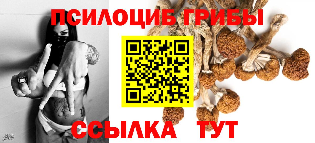 Галлюциногенные грибы мухоморы Йошкар-Ола
