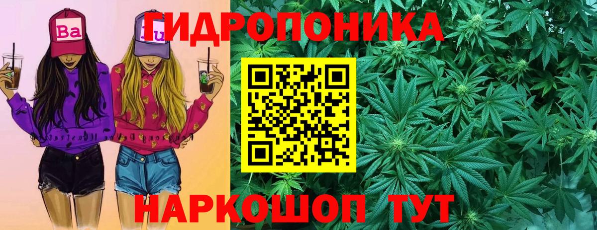 Йошкар-Ола  Конопля планчик  Вход с VPN  Конопля тримм  Канабис White Widow 